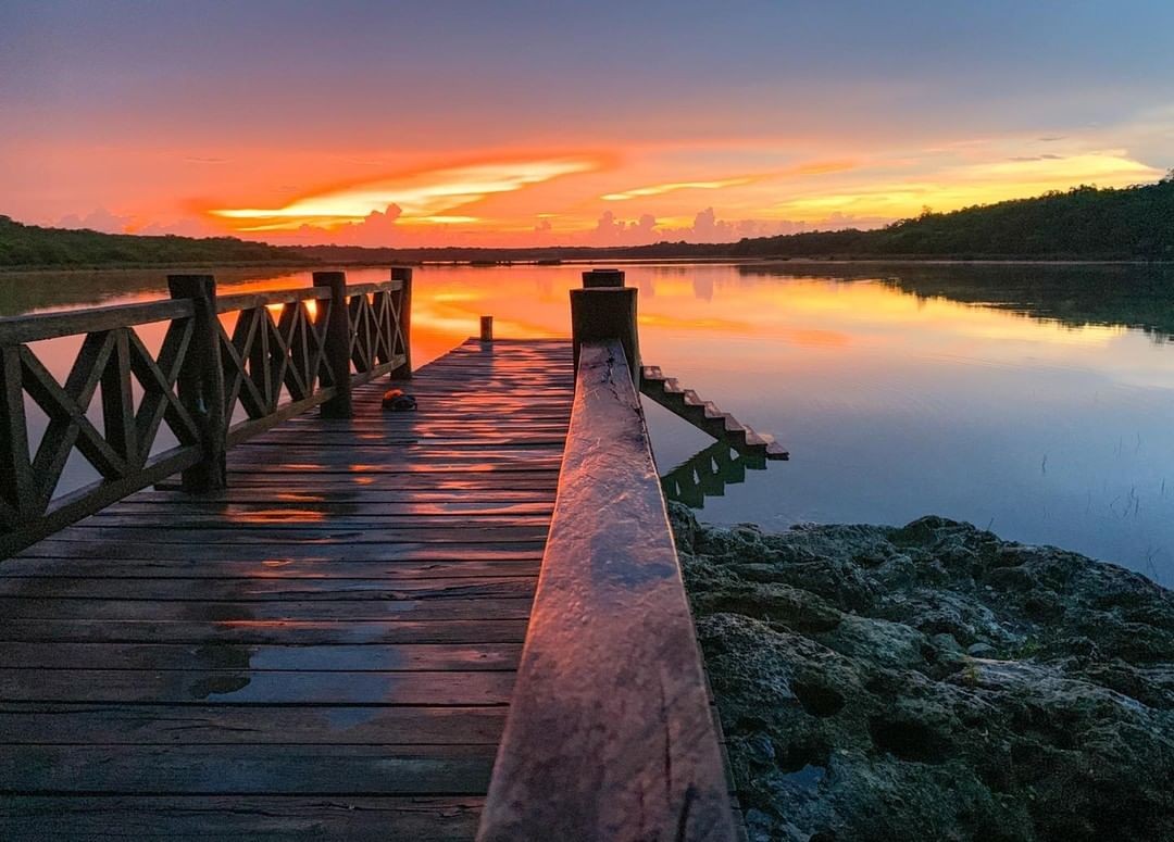 4 hermosas Reservas Ecológicas de Yucatán