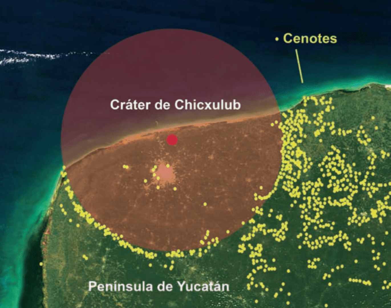 Anillo de Cenotes, el resultado del Meteorito