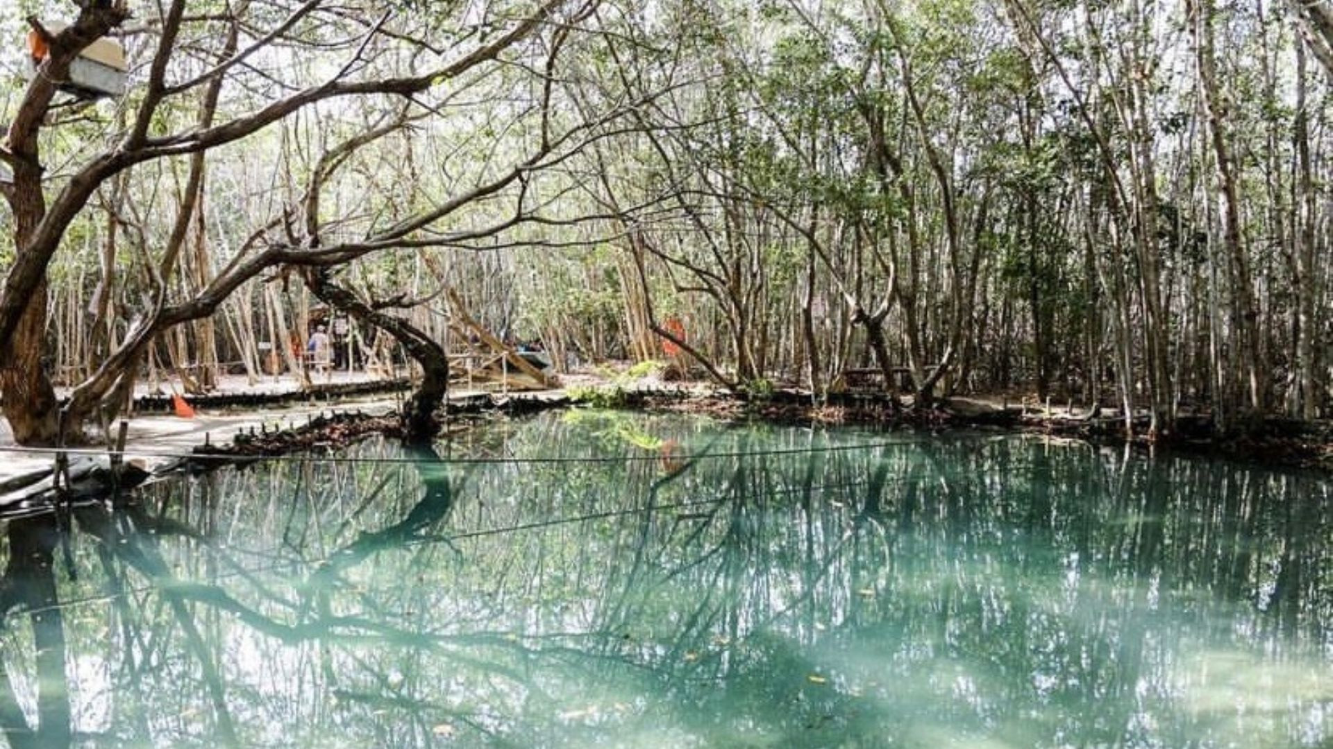 Descubre la maravilla natural de "El Corchito"