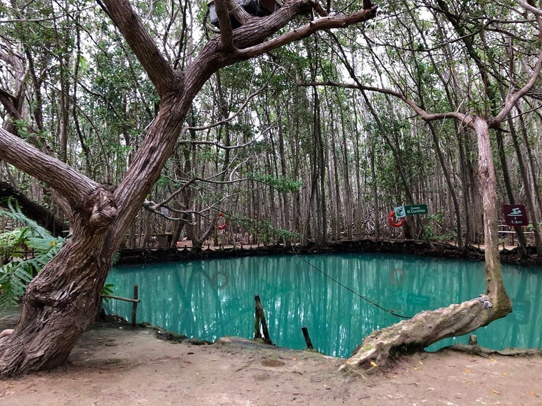 El Corchito de Progreso, un lugar único en Yucatán