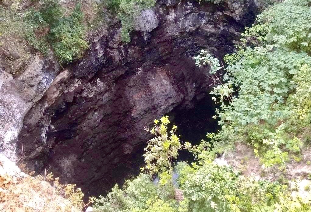 Cenote K41, El ojo de agua escondido entre la selva de Campeche