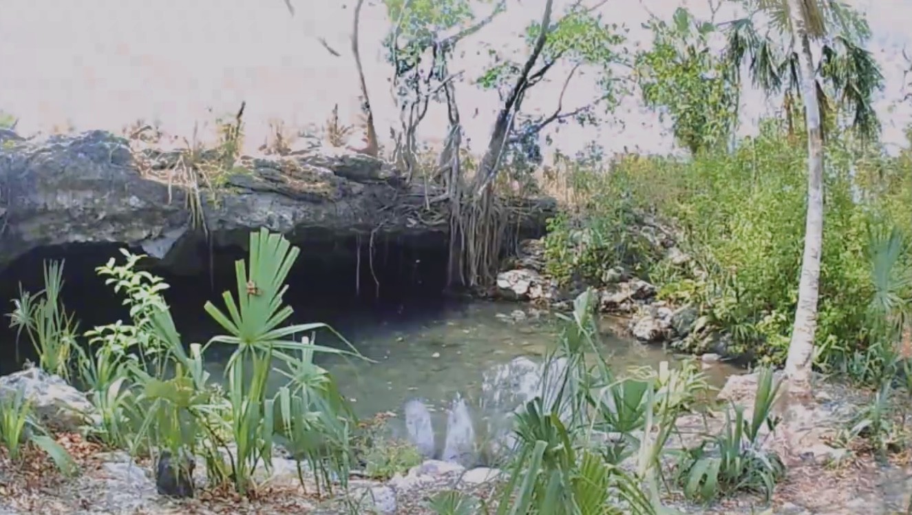 El escondido Cenote ”Las Tetas” de Seybaplaya en Campeche