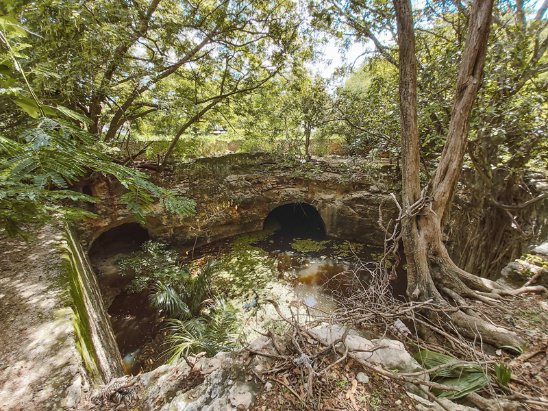 Extraño lugar de Mérida con agua y pasadizos secretos