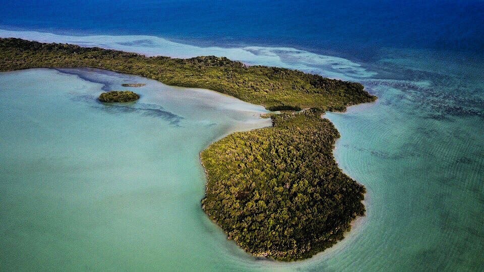 Isla Tamalcab, La deshabitada playa virgen escondida en Chetumal