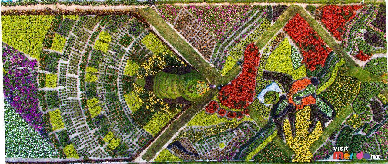 Llega a Mérida el Paseo Navideño de las Flores, las obras artísticas hechas a base de plantas y flores