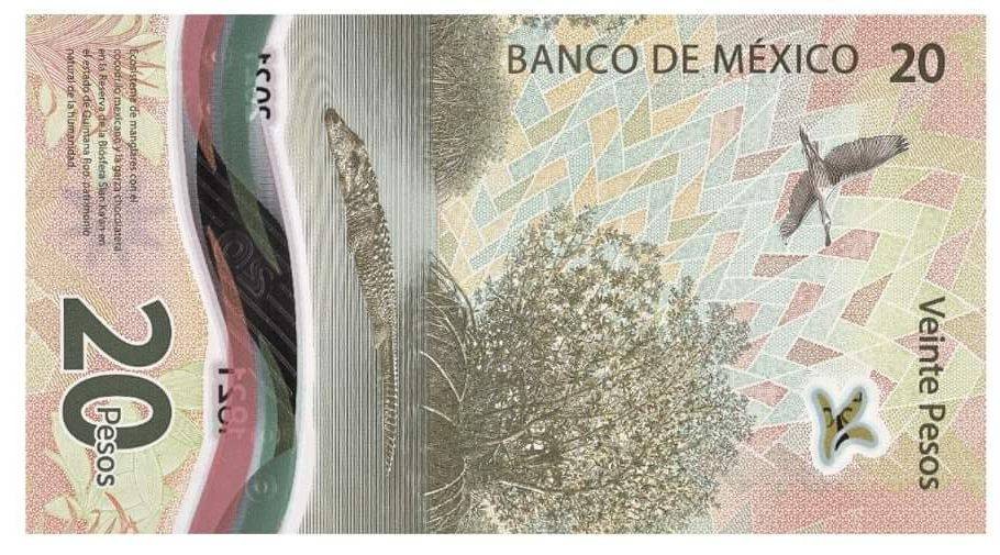 Manglar de Quintana Roo fue incluido en nuevo billete de $20 en México