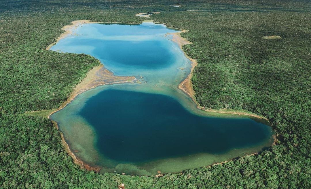 Punta Laguna: El escondido manantial de agua azul entre Chemax y Cobá