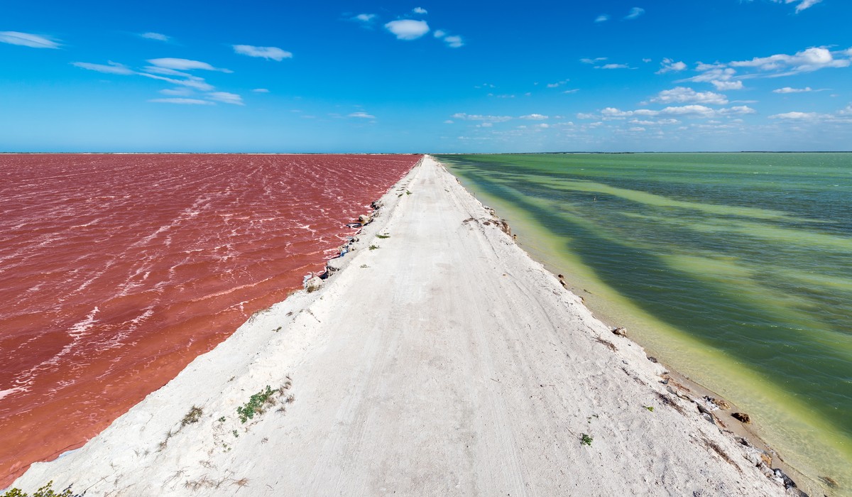 ¿Qué hacer en Río Lagartos? Un paraíso en las costas Yucatecas