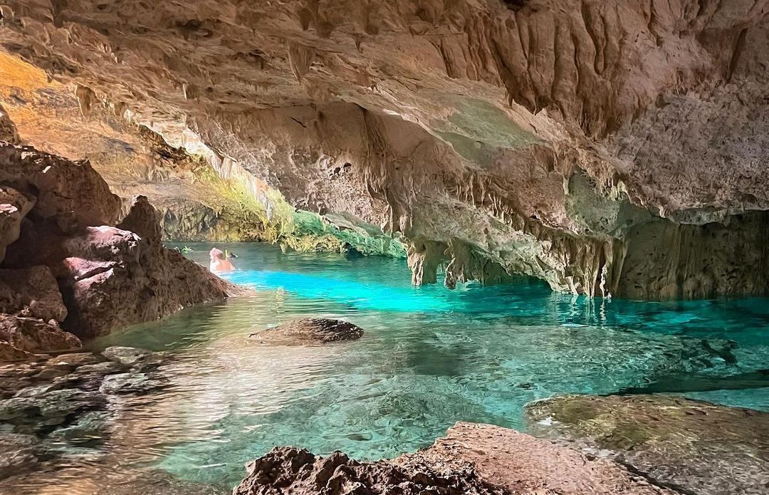 ¿Qué hay en los Cenotes? Así es la vida en su interior