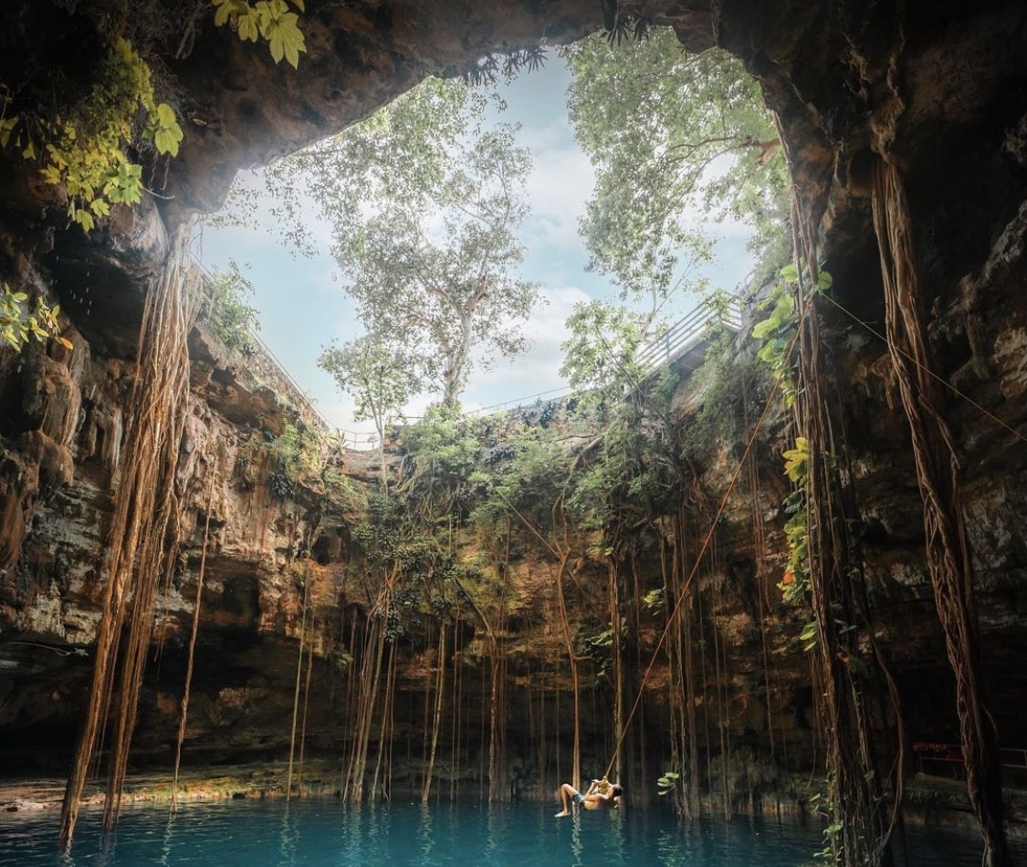 ¿Qué plantas cuelgan del techo de los Cenotes?