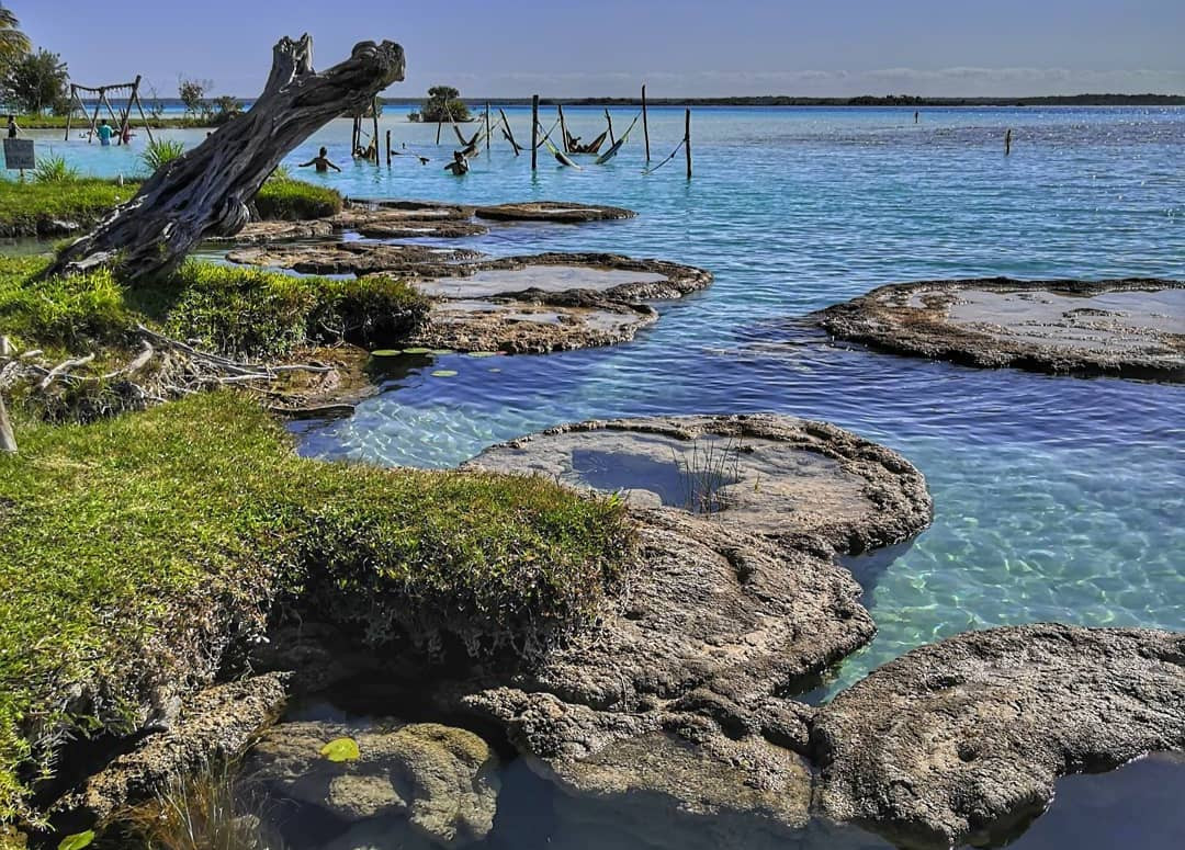 ¿Qué son los estromatolitos? las espectaculares formaciones rocosas en Bacalar