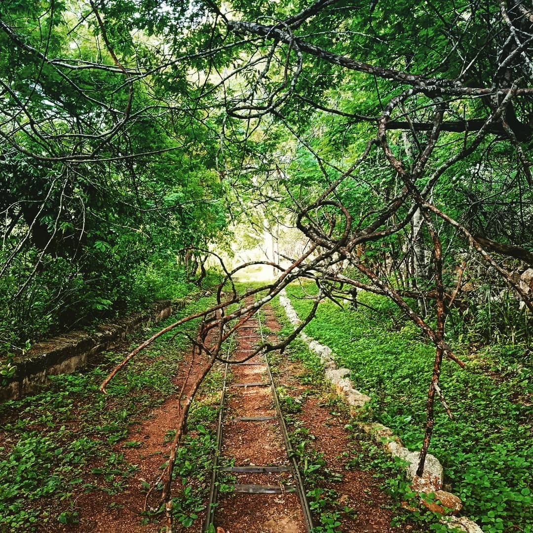 Reserva Ecológica de Cuxtal