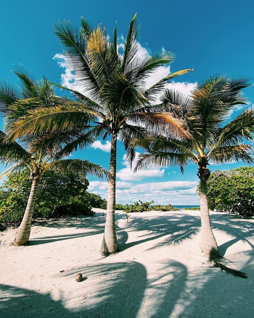 San Crisanto, El Edén de la Costa Yucateca