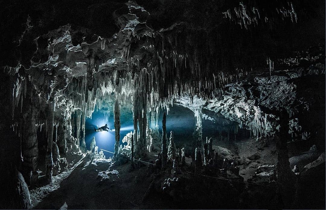 TOP 7: Cenotes más extraños de la Península de Yucatán