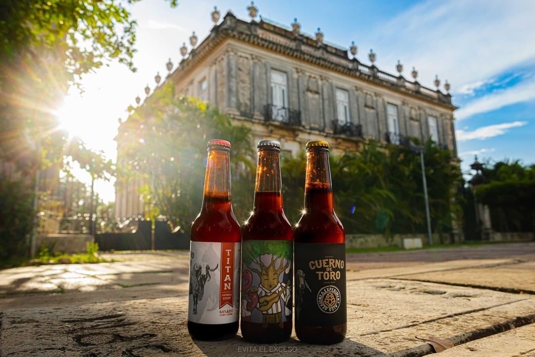 TOP Cervezas Artesanales de Yucatán